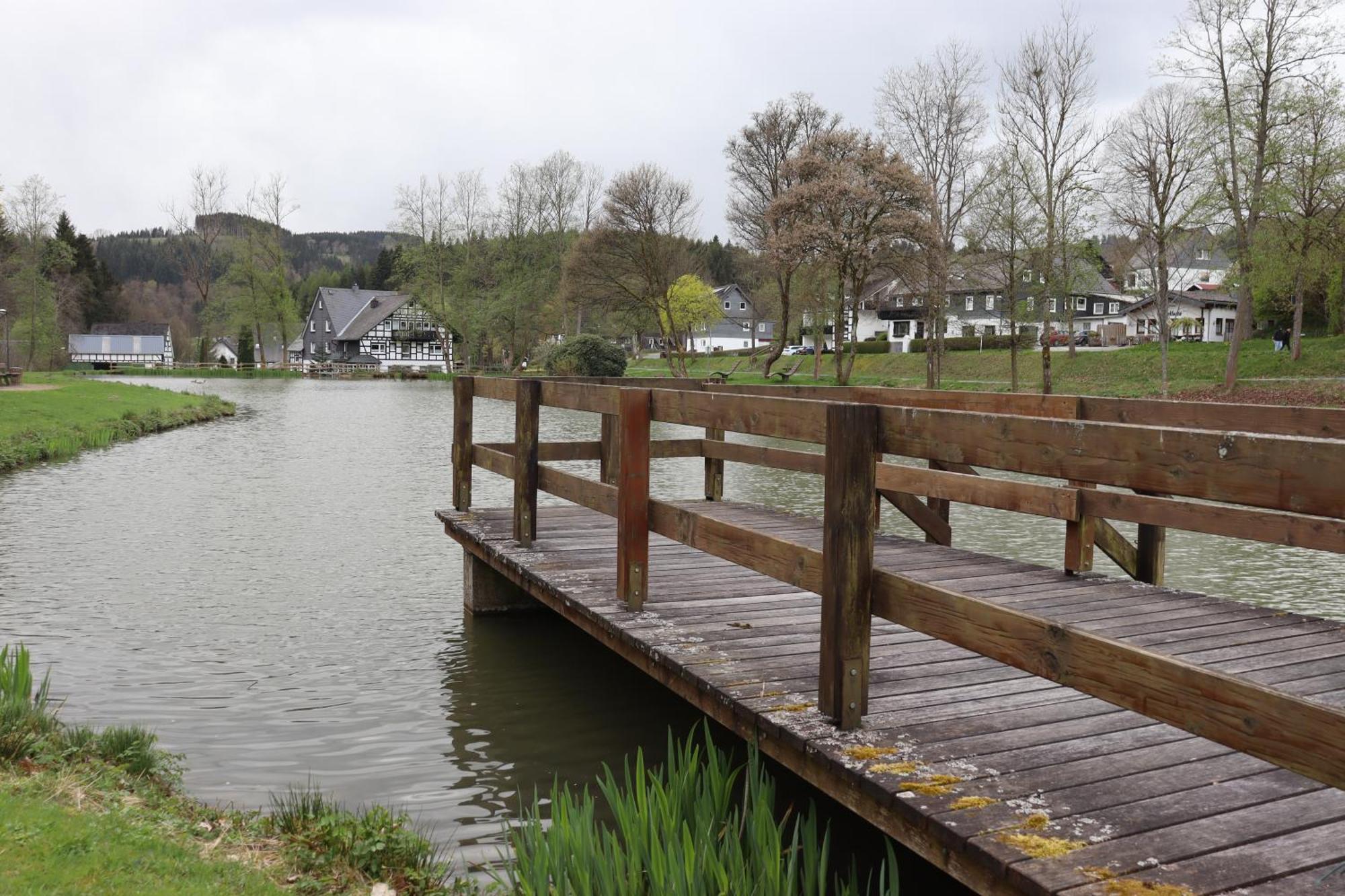 Direkt Am See Winterberg Elkeringhausen Bagian luar foto